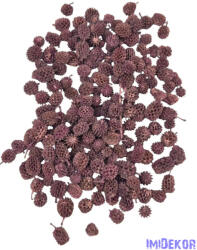  Casurina - Mályva