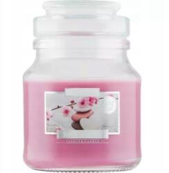 AURA Bispol gyertya spa kert 120g (snd71-254)