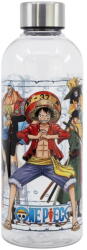 TYPEC Sticla de apa reutilizabila Stor One Piece 850 ml, din plastic fara BPA, dop metalic etans, pentru scoala, sport si birou