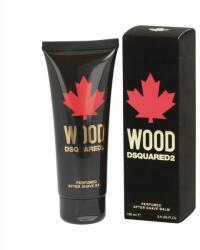Dsquared2 Wood for Him Asb 100 ml Férfi Eau de Toilette (5B16)