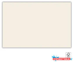 Procos Unicolour Cream, Krémszínű papír asztalterítő 120x180 cm FSC (PNN92113)