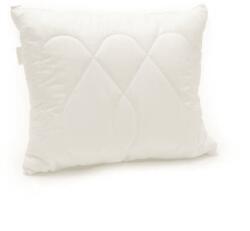 Brotex Luxus plus 50 x 70 cm (64570/55)