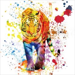 Imageland Tablou pe sticlă securizată 80x80 cm, tigru colorat, Imageland Tiger White