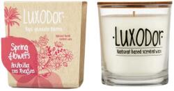 Luxodor Lumânare parfumată flori de primăvară, în pahar de sticlă, Luxodor Candles, 180 g