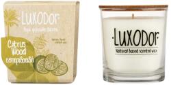 Luxodor Candelă parfumată citrice și lemn, în pahar de sticlă, Luxodor Candles, 180 g