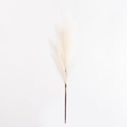 Supergreens Plantă artificială Pampas ecru, fir 68 cm, SUPERGREENS