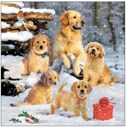Ambiente Șervețele de masă din hârtie 33x33 cm Golden retriever puppies, model de iarnă, Ambiente, 20 buc