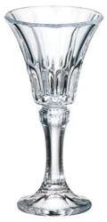 Crystal Bohemia Set 6 pahare Bohemia Crystal Wellington lichior 49 ml transparent Pahar