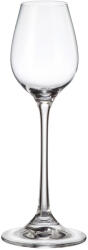 Crystal Bohemia Set 6 pahare lichior Crystal Bohemia Columba 90 ml transparent Pahar