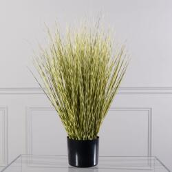 Supergreens Plantă artificială iarbă ornamentală Gynerium, 70 cm, verde, SUPERGREENS