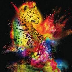 Imageland Tablou pe sticlă securizată portret 80x80 cm, fundal negru, Imageland Leopard