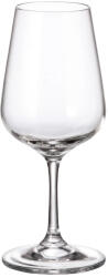 Crystal Bohemia Set 6 pahare vin Crystal Bohemia Apus 250 ml transparent Pahar