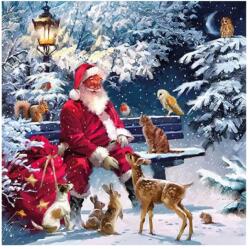 Ambiente Șervețele de masă din hârtie 33x33 cm Santa on bench, Ambiente, 3 straturi, 20 buc