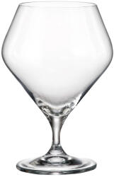 Crystal Bohemia Set 6 pahare bere Crystal Bohemia Gavia 600 ml transparent Pahar