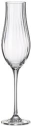 Crystal Bohemia Set 6 pahare sampanie cristal Bohemia Limosa Optic 300 ml Pahar