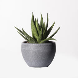 Supergreens Plantă artificială Aloe Aristata în ghiveci, 14 cm, SUPERGREENS