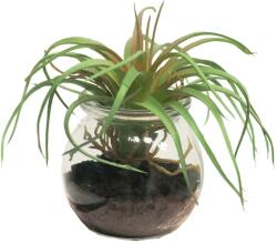 Supergreens Plantă artificială Tillandsia în vas de sticlă, 12 cm, SUPERGREENS