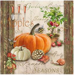 Ambiente Șervețele de masă din hârtie 33x33 cm Autumn Gardening, Ambiente, model toamnă, 3 straturi, 20 buc