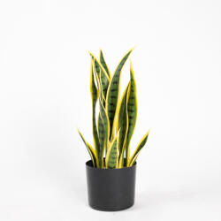 Supergreens Plantă artificială Sansevieria în ghiveci, 45 cm, SUPERGREENS