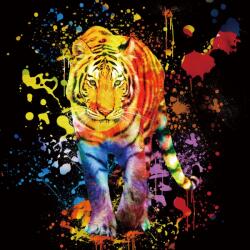 Imageland Tablou portret negru 80x80 cm, print pe sticlă securizată, Imageland Tiger Black