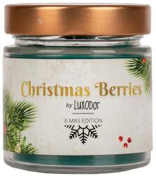 Luxodor Lumânare parfumată fructe de pădure Christmas Berries, în borcan, Luxodor Candles, 165 g