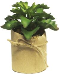 Supergreens Plantă artificială suculentă în ghiveci, 13 cm, SUPERGREENS