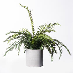 Supergreens Plantă artificială Ferigă Ostrich Green, 42 cm, în ghiveci, SUPERGREENS
