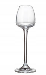 Crystal Bohemia Set 6 pahare lichior Crystal Bohemia Anser 70 ml transparent Pahar