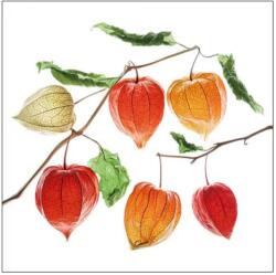 Ambiente Șervețele de masă din hârtie 33x33 cm Ambiente Lampion flower, model floral toamnă, 3 straturi, 20 buc