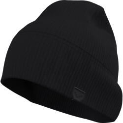 Dynafit Alpha Direct Beanie sapka fekete