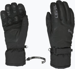 Level Mănuși de schi pentru bărbați Level Evolution Plus Gore-Tex black