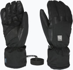 Level Mănuși de schi pentru bărbați Level I -Super Radiator Over Gore-Tex black