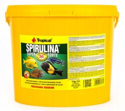 Tropical Spirulina Forte 5l (70317)