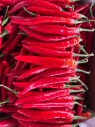  Chili paprika piros 1 kg