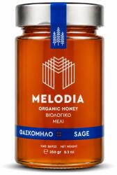 Melodia Miere BIO de salvie Melodia (11961)