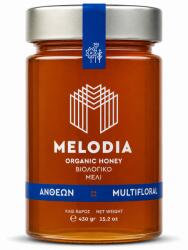 Melodia Miere BIO flori salbatice(format mare) Melodia (11957)