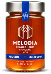 Melodia Miere BIO flori salbatice Melodia (11964)