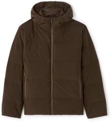 CELIO JUAIR Maro L (1173378)