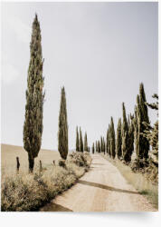 Empikfoto. ro Poster, Vara 4, 70x100 - 291093