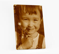 Empikfoto. ro Tablou, Fotografia ta în stil Sepia, 20x30 cm - 373624