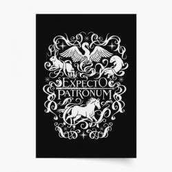 Empikfoto. ro Poster, Harry Potter: Îl aștept pe Patronus, 50x70 - 269028