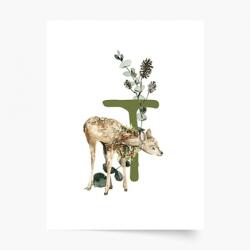 Empikfoto. ro Poster, Alfabet - T: Animale de pădure, 21x30 - 285932
