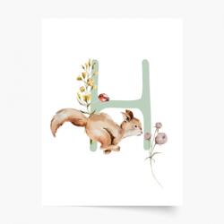 Empikfoto. ro Poster, Alfabet - H: Animale de pădure, 60x80 - 250298