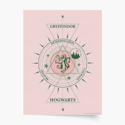 Empikfoto. ro Poster, Harry Potter: Cercetași, 20x30 - 270302