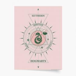 Empikfoto. ro Poster, Harry Potter: Viperini, 21x30 - 284786
