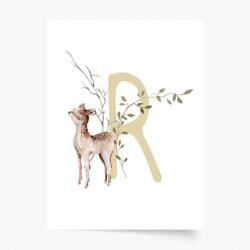 Empikfoto. ro Poster, Alfabet - R: Animale de pădure, 21x30 - 285925