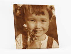 Empikfoto. ro Tablou, Fotografia ta în stil Sepia, 30x30 cm - 373626