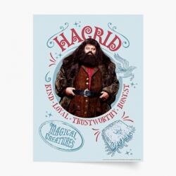 Empikfoto. ro Poster, Harry Potter: Hagrid, 30x40 - 269847