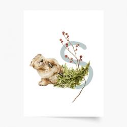 Empikfoto. ro Poster, Alfabet - S: Animale de pădure, 60x80 - 239476