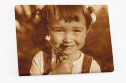 Empikfoto. ro Tablou, Fotografia ta în stil Sepia, 80x60 cm - 373639